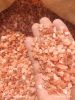 Himalyan Pink Salt