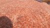 Himalyan Pink Salt