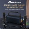CYB-T12 80w powerful mini portable Karaoke speaker with wireless microphones