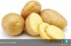 Potatoes