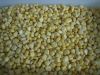 selling IQF sweet corn...