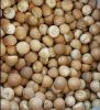 Betel nuts