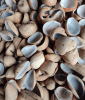 White Copra (Dried Coc...
