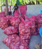 White Copra (Dried Coc...