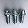 Wheel hub screw, tire screw