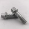 Wheel hub screw, tire screw