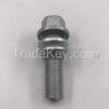 Wheel hub screw, tire screw