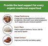 Factory Mushroom Coffee With 6 Superfood Lions Mane Reishi Chaga One Cup Organic Instant Coffee