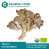 Maitake extract, Maita...