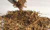 DRIED CINNAMON CHIPS