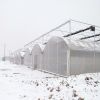 Agriculture multi-span arch plastic film Greenhouse strawberry greenhouse