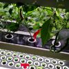 New arrival indoor smart garden hydroponic intelligent vertical farming home hydroponic growing systems