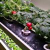 New arrival indoor smart garden hydroponic intelligent vertical farming home hydroponic growing systems