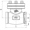 Cryogenic Check Valve