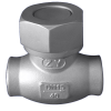 Cryogenic Check Valve