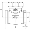 Cryogenic Check Valve