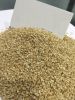 Sesame Seeds