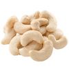 Fresh Cashew Nuts Cash...