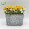 Natural Metal Planter Stand Zinc Flower Pot with Embossed Finish for Wholesale