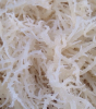 EUCHEUMA COTTONII