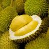 fresh durian - frozen ...