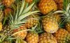 Fresh pineapple - drie...