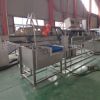 Green Leaves Salad Cabbage Washing Fruits and Vegetable Cleaner Machine Fruit Washer Price