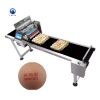 egg stamping code machine coding printer egg printing machine