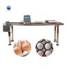 egg stamping code machine coding printer egg printing machine