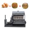 Waste paper tray egg tray equipment egg tray machine automatic drying egg tray machine