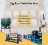 egg tray machine automatic paper egg carton plate making machine