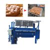 High Efficiency Egg Tray Making Machine for Waste Paper Processing