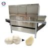 Industrial Garlic Proc...