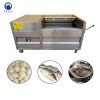 Fruit And Vegetable Hair Wool Roller Cleaning Machine Carrot Washing And Peeling Machine