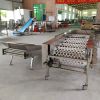 Factory Manufacturer Directly Apple Orange Peach Tomato Potato Grading Fruit Sorting Machine