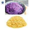 ginger garlic chili grinder mashed potato tomato onion paste pepper grinding making chopping machine
