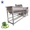 Fruit washing machine vegetable bean sprouts vortex washer machine