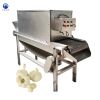 industrial garlic peeler machine commercial garlic peeler from Elva