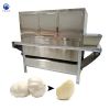 industrial garlic peeler machine commercial garlic peeler from Elva