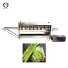 Automatic Vegetable Yam Peeler Asparagus Lettuce Cucumber Skin Removing White Radish Carrot Peeling Machine