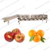 Hot Sale Apple Longan Fruit Orange Grading Machine from Sophia