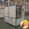 High Efficient Vacuum Freeze Dryer Freeze Drying Machine