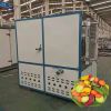 High Efficient Vacuum Freeze Dryer Freeze Drying Machine