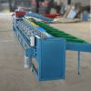 China fruit sorter machine fruit grading machine avocado sorting machine