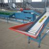 China fruit sorter machine fruit grading machine avocado sorting machine