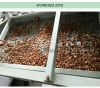  Automatic Almond Shelling Cracking Dehulling Apricot Shell Kernel Separator Machine