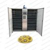 Large capacity electric heating mushroom dryer shiitake dehydrator machine