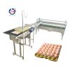 egg classifier machine with vacuum egg suction device and accumulator