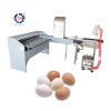 egg classifier machine with vacuum egg suction device and accumulator