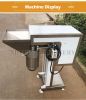 Electric garlic press crusher automatic ginger paste making machine garlic cutter machinery